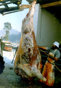 Bisonzucht- und Haltung in der Pfalz - Hanns-Josef de Graaff